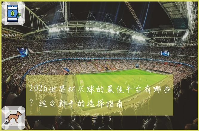 2026世界杯买球的最佳平台有哪些？适合新手的选择指南