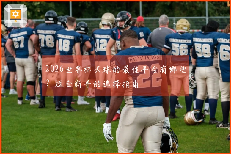 2026世界杯买球的最佳平台有哪些？适合新手的选择指南
