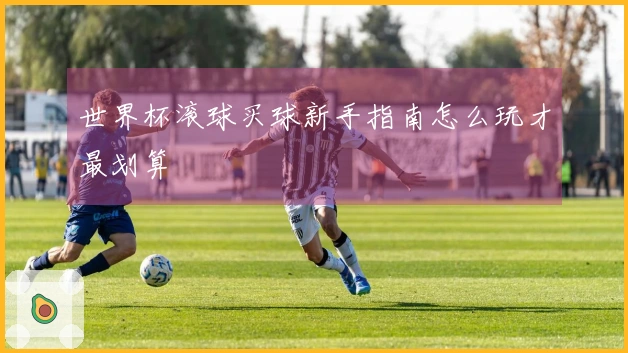 世界杯滚球买球新手指南怎么玩才最划算